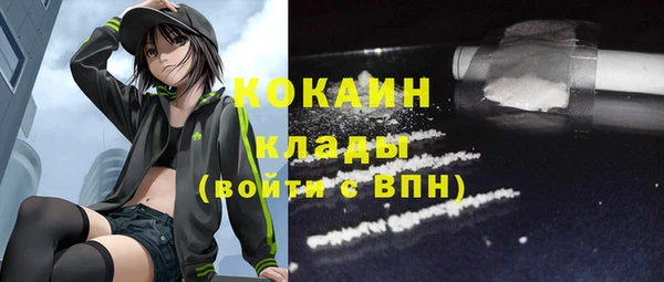 стафф Арсеньев