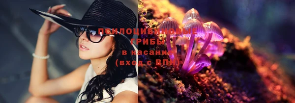 стафф Арсеньев