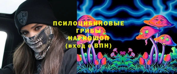 стафф Арсеньев