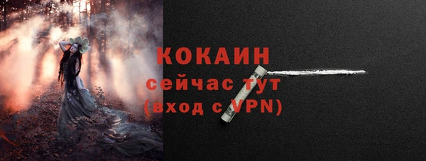 стафф Арсеньев
